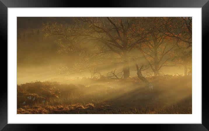Autumn mist. Framed Mounted Print by John Cameron