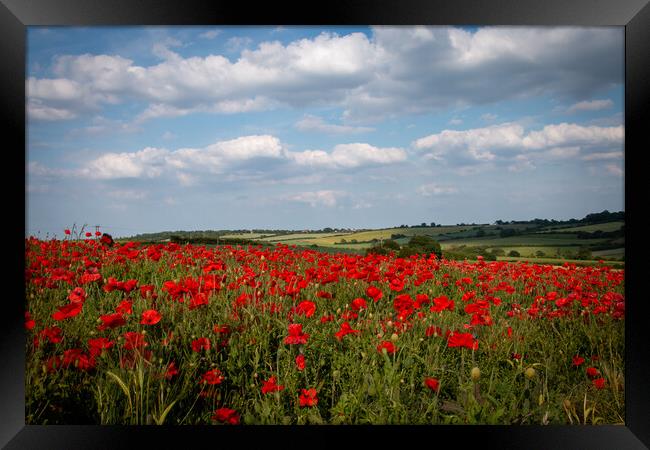 South Yorkshire Summertime Landscape Framed Print by J Biggadike