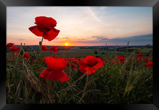 Poppy Field Summer Sunset Framed Print by J Biggadike