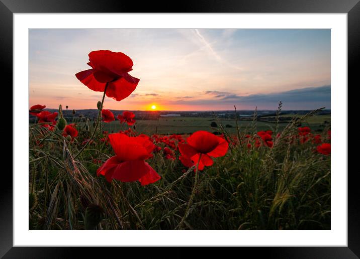 Poppy Field Summer Sunset Framed Mounted Print by J Biggadike