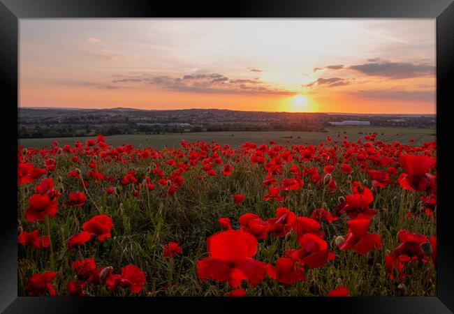 Poppy Field Summer Sunset Framed Print by J Biggadike