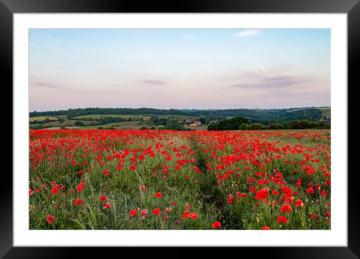 South Yorkshire Poppy Landscape Framed Mounted Print by J Biggadike