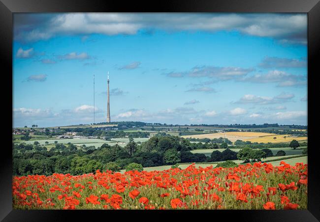 Poppies On Emley Moor Framed Print by J Biggadike