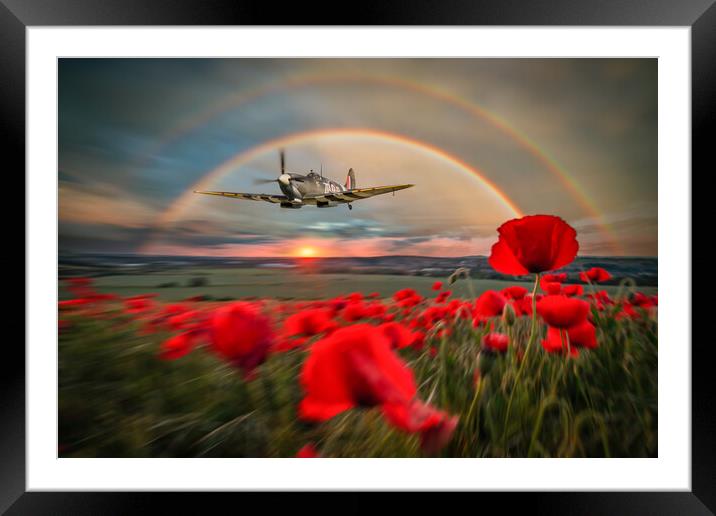 Spitfire MH434 Poppy Pass Framed Mounted Print by J Biggadike