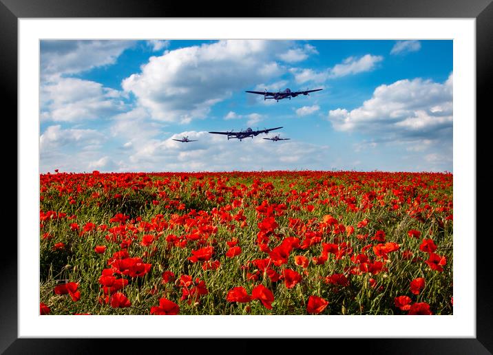 Lancasters Poppy Fly Past Framed Mounted Print by J Biggadike