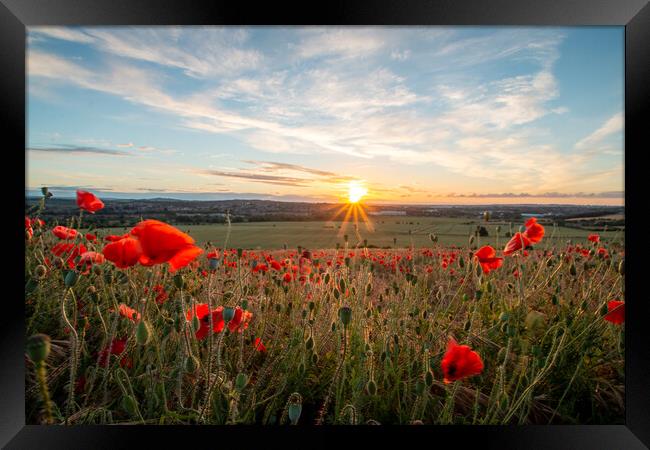 Poppy Field Sunset Framed Print by J Biggadike