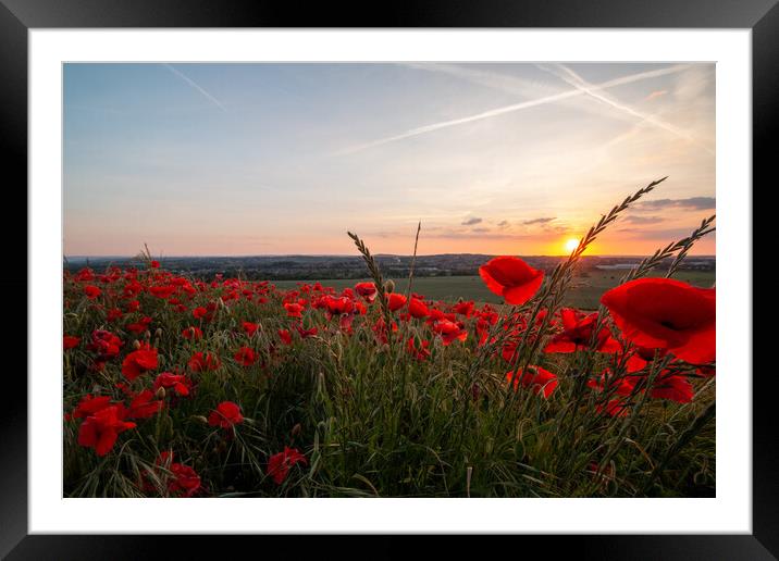 Poppy Sunset Framed Mounted Print by J Biggadike
