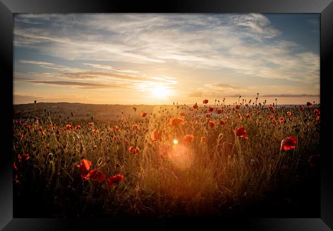 Poppy Field at Sunset Framed Print by J Biggadike