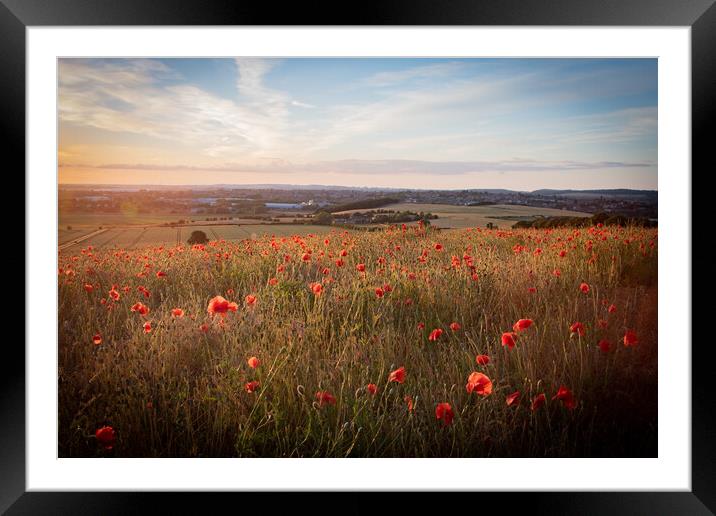 Poppy Field at Sunset Framed Mounted Print by J Biggadike