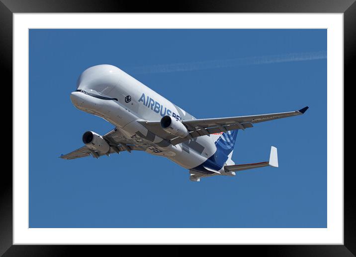 Airbus A330-743L BelugaXL Framed Mounted Print by J Biggadike