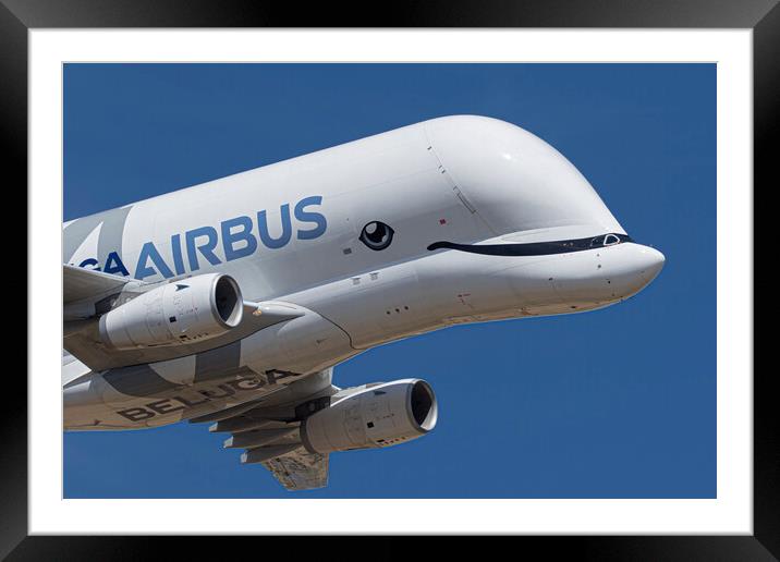 Airbus A330-743L Beluga XL Framed Mounted Print by J Biggadike