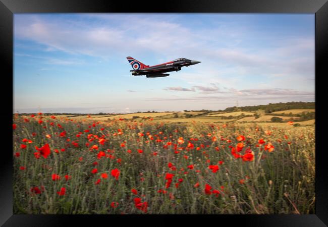 Eurofighter Typhoon Poppy Fly Past Framed Print by J Biggadike