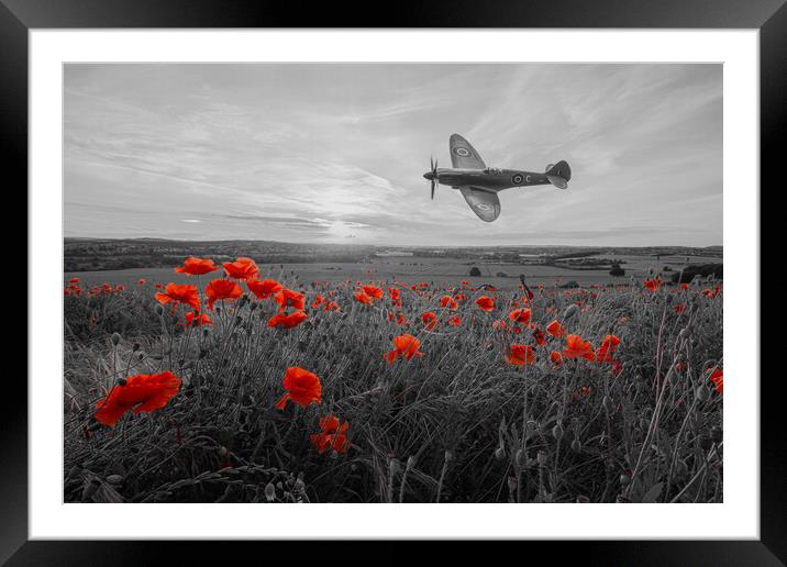 Spitfire Crimson Poppy Fly By Framed Mounted Print by J Biggadike