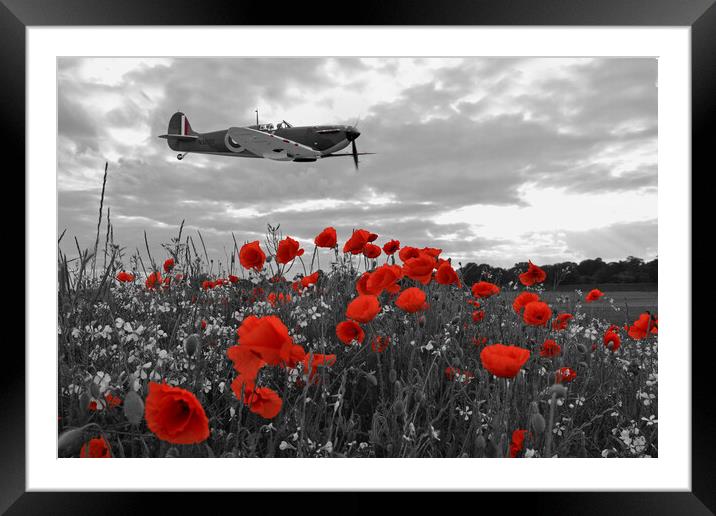 Spitfire Poppy Fields Framed Mounted Print by J Biggadike