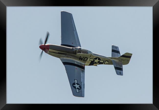 North American P-51D Mustang (G-SHWN) Framed Print by J Biggadike