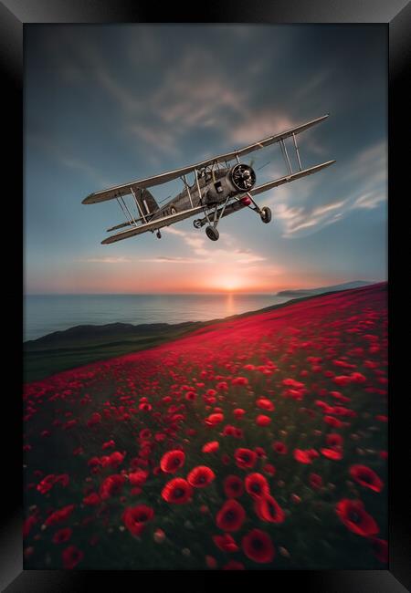 Fleet Air Arm Tribute Framed Print by J Biggadike