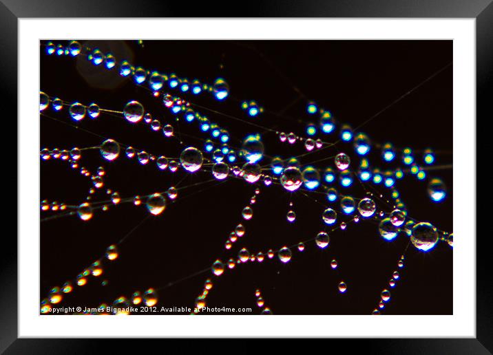 Rainbow Web Framed Mounted Print by J Biggadike