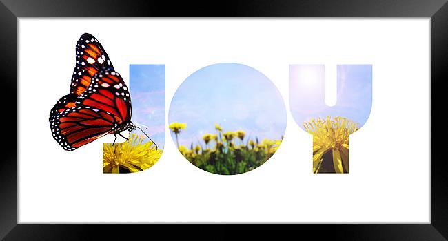 Butterfly Joy Framed Print by J Biggadike