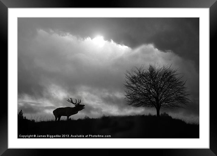 Stag Silhouette Framed Mounted Print by J Biggadike