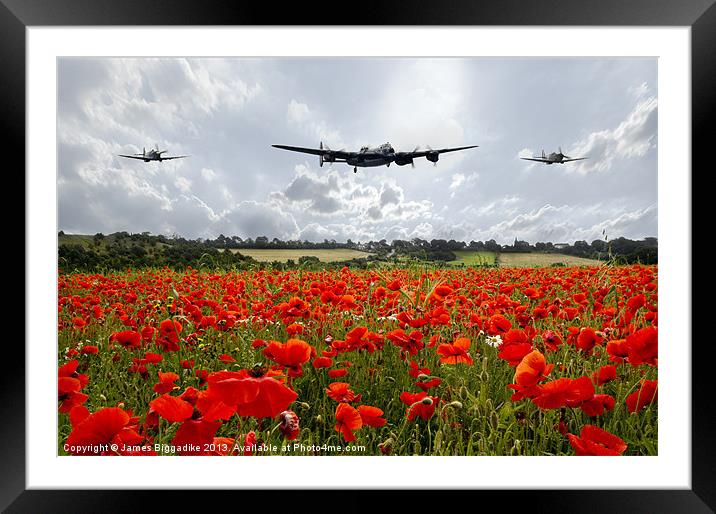 Lancaster Bomber Poppy Fly Past Framed Mounted Print by J Biggadike