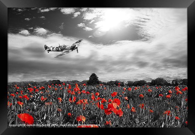 Spitfire Poppy Pass Framed Print by J Biggadike