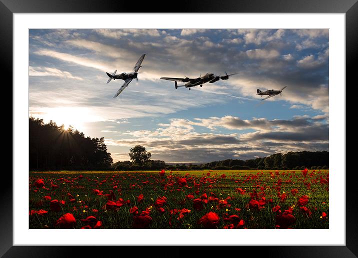 Battle of Britain Poppy Pride Framed Mounted Print by J Biggadike