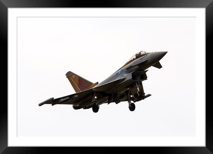 6 Squadron Typhoon Framed Mounted Print by J Biggadike