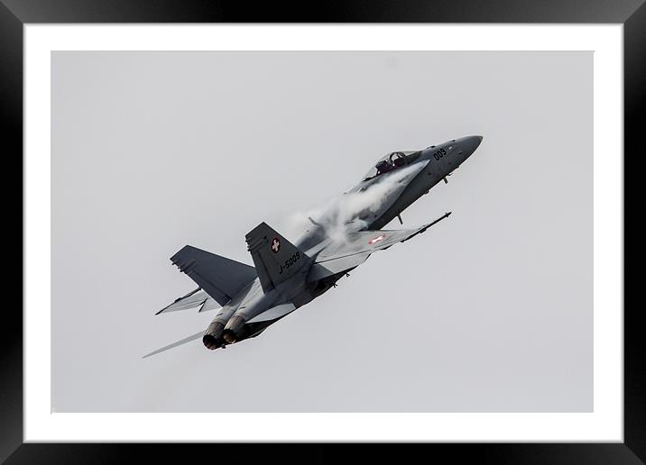 Swiss Hornet  Framed Mounted Print by J Biggadike