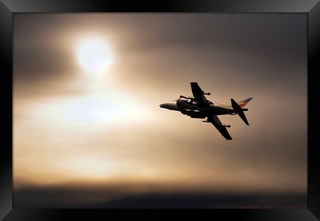 Harrier Sunset  Framed Print by J Biggadike