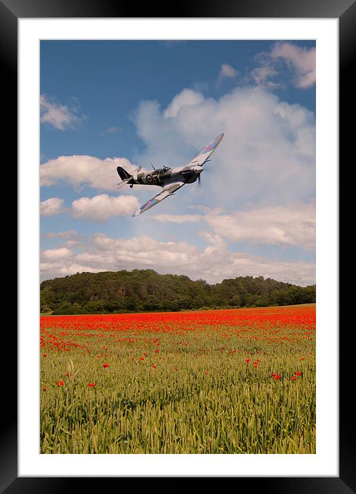 Spitfire Poppies  Framed Mounted Print by J Biggadike