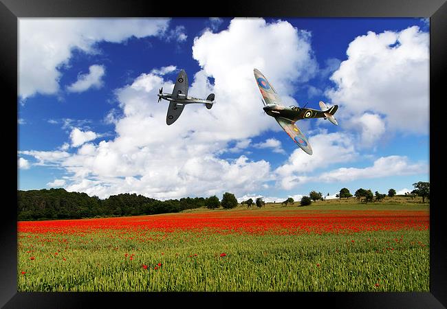 Spitfire Poppy Fly Past  Framed Print by J Biggadike