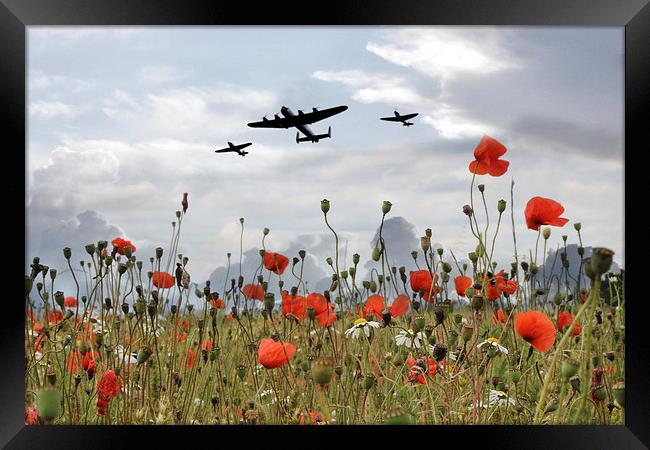 BBMF Over The Poppies Framed Print by J Biggadike