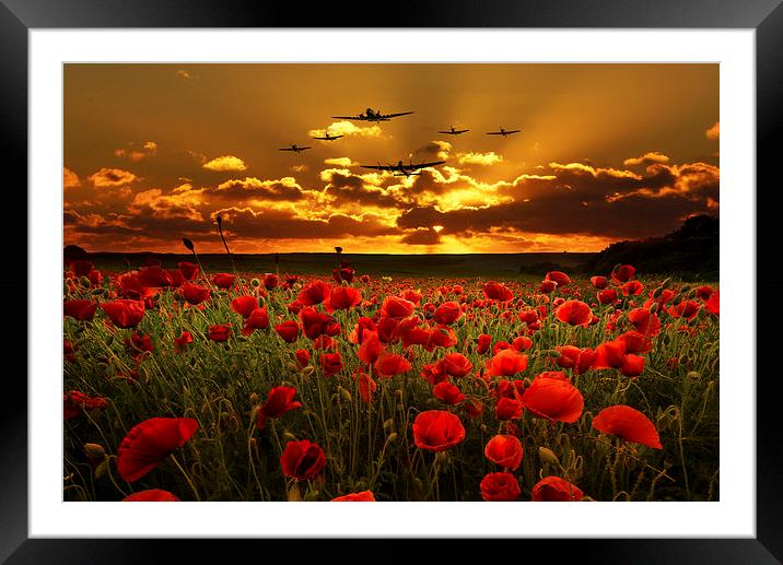 Sunset Poppies The BBMF Framed Mounted Print by J Biggadike