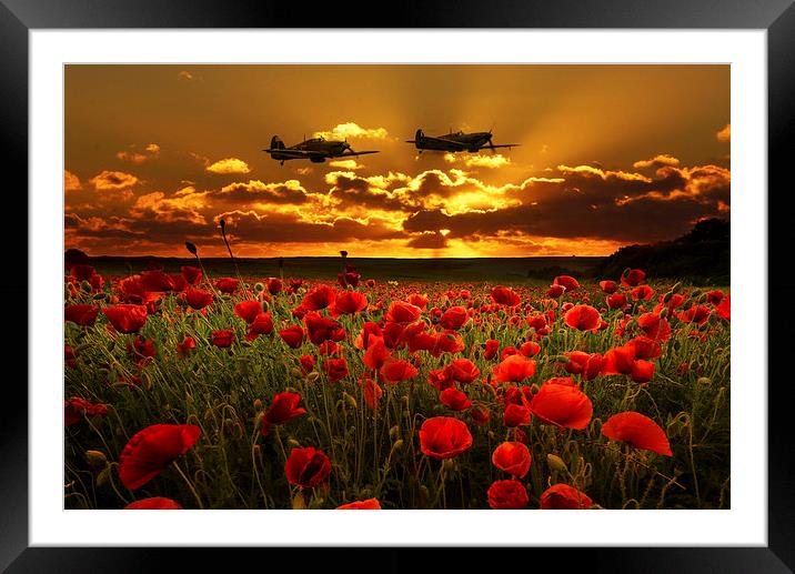 Sunset Poppies Fighter Command Framed Mounted Print by J Biggadike