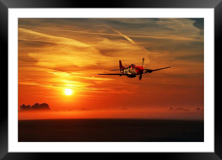 Red Tail Sunrise Framed Mounted Print by J Biggadike