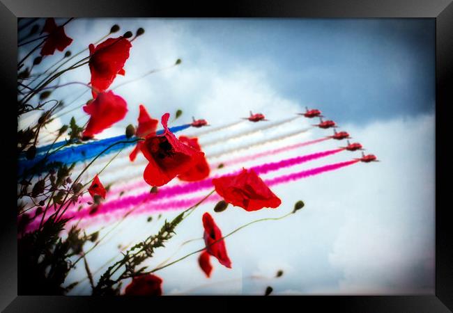 Red Arrows Poppy Abstract Framed Print by J Biggadike