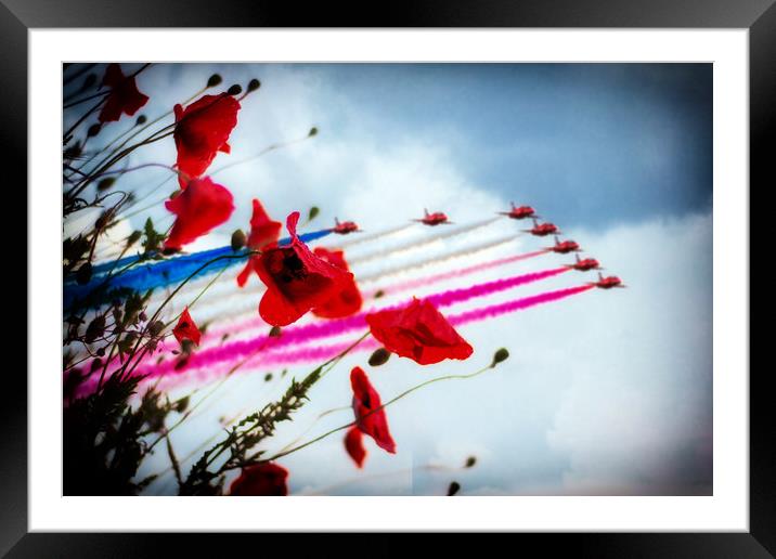 Red Arrows Poppy Abstract Framed Mounted Print by J Biggadike