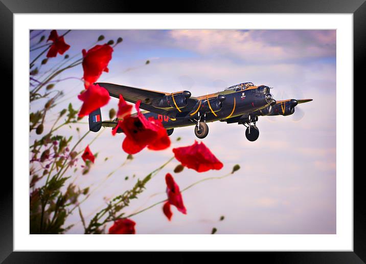 Lancaster Poppy Approach Framed Mounted Print by J Biggadike