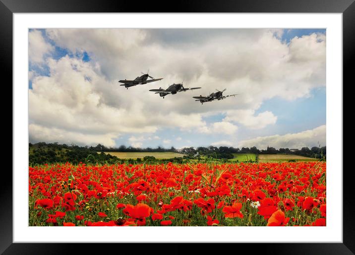 BBMF Poppy Flypast Framed Mounted Print by J Biggadike