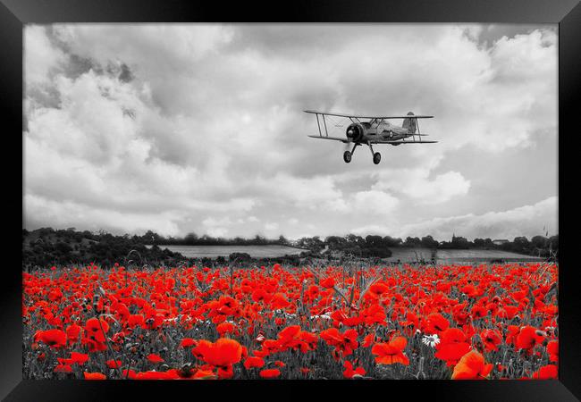 Gladiator Poppy Flypast - RED Framed Print by J Biggadike