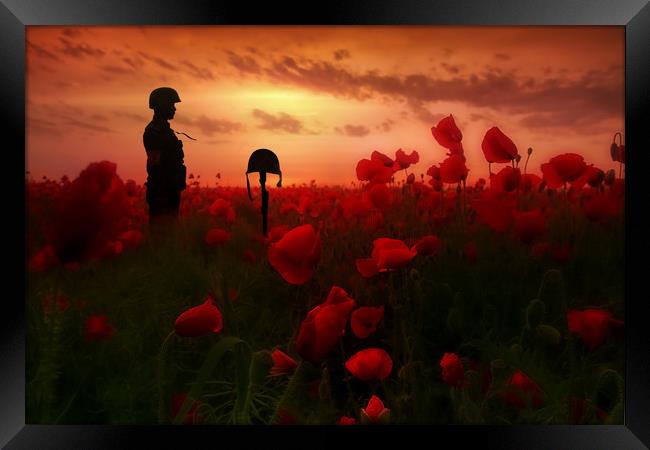 A Field Of Heroes Framed Print by J Biggadike