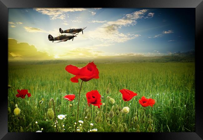 Fighter Poppy Pass Framed Print by J Biggadike