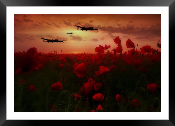 Over The poppy Fields Framed Mounted Print by J Biggadike