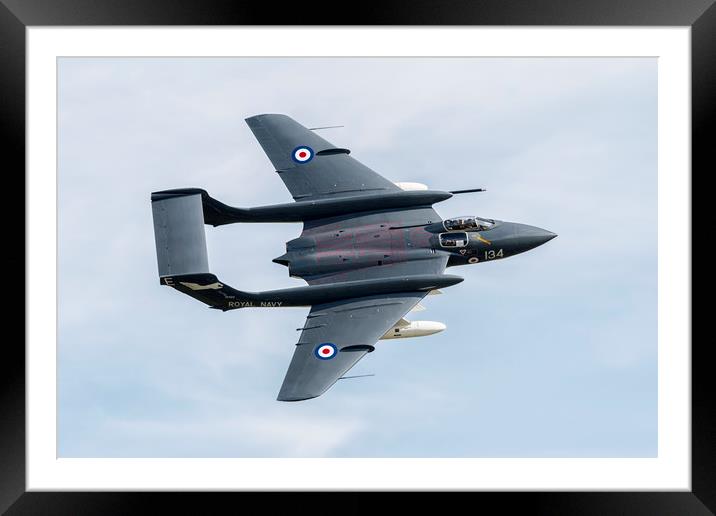 Sea Vixen Framed Mounted Print by J Biggadike