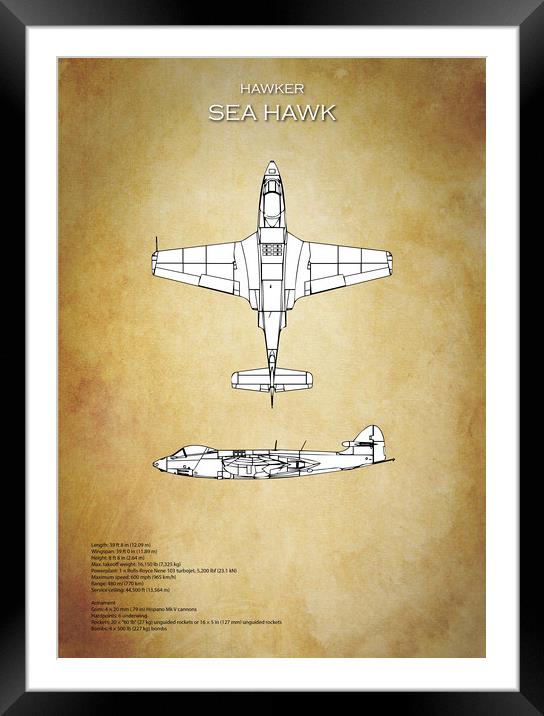 Hawker Sea Hawk Framed Mounted Print by J Biggadike