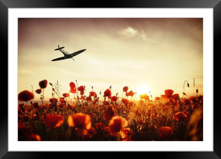 Spitfire The Final Sortie Framed Mounted Print by J Biggadike