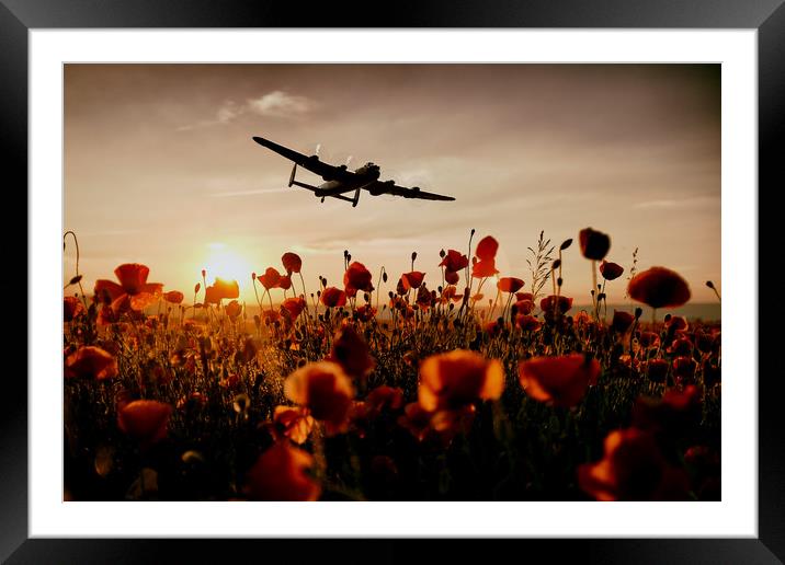 Over The Fields They Flew Framed Mounted Print by J Biggadike