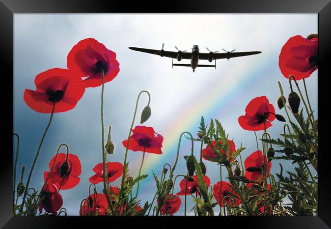 Lancaster Poppy Hero Framed Print by J Biggadike