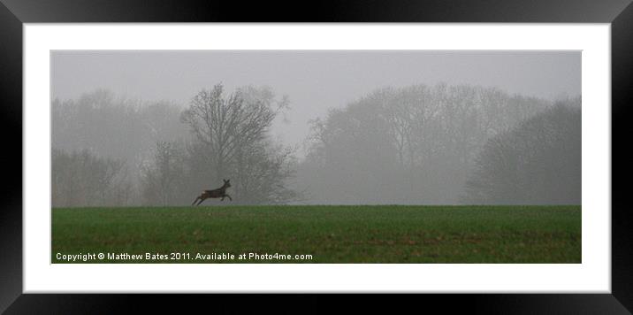 Prancing deer Framed Mounted Print by Matthew Bates