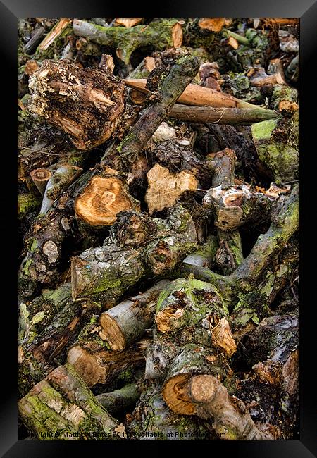 Pile of Logs Framed Print by Matthew Bates